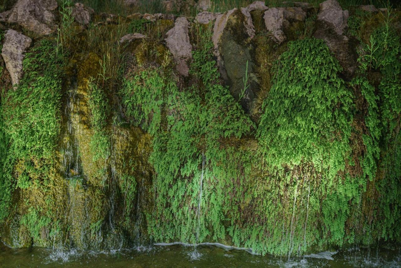 Grotta Palazzese Beach Hotel ポリニャーノ・ア・マーレ エクステリア 写真